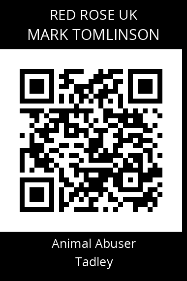 QR code for mark-tomlinson-1