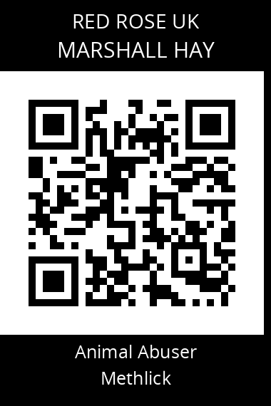 QR code for marshall-hay