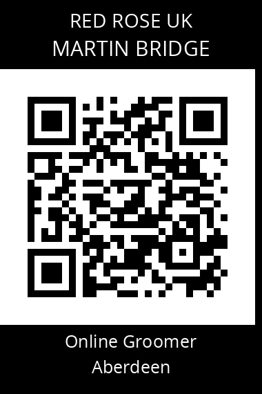 QR code for martin-bridge