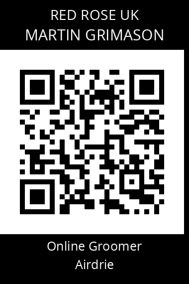 QR code for martin-grimason