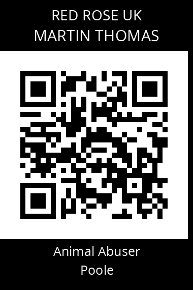QR code for martin-thomas-1