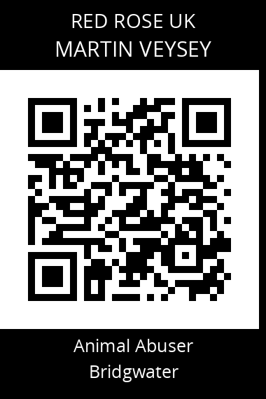 QR code for martin-veysey