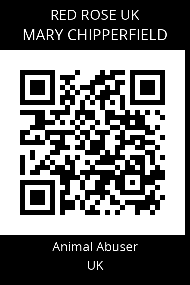 QR code for mary-chipperfield