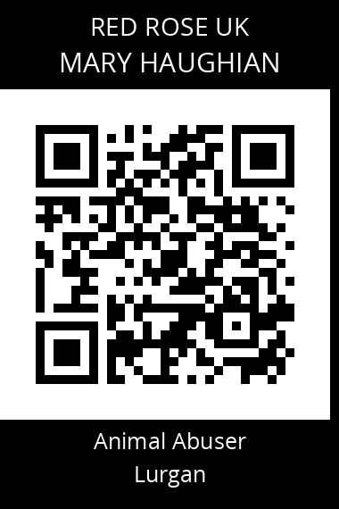 QR code for mary-haughian