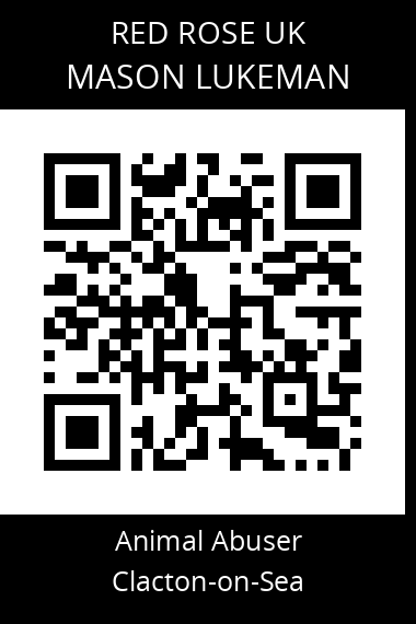 QR code for mason-lukeman