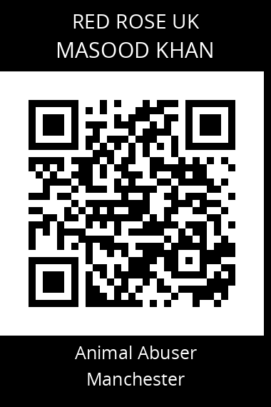 QR code for masood-khan