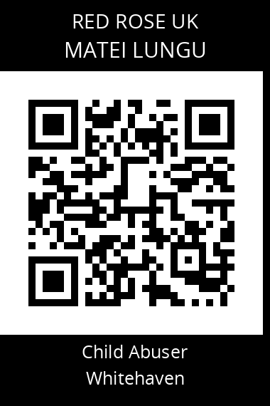 QR code for matei-lungu