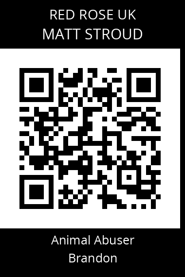 QR code for matt-stroud