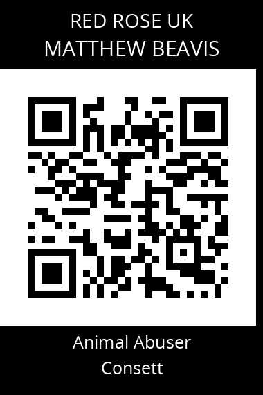 QR code for matthew-beavis