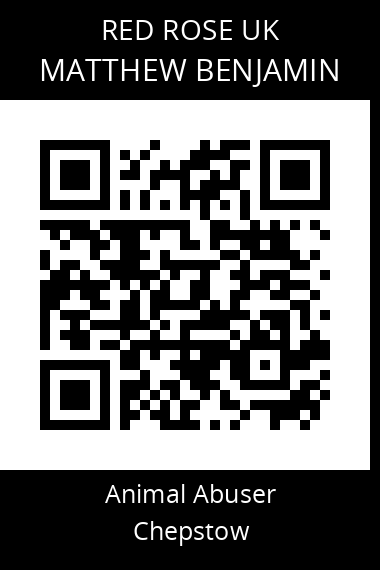 QR code for matthew-benjamin