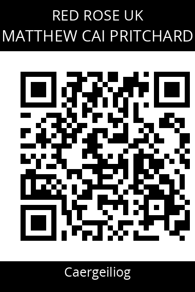 QR code for matthew-cai-pritchard