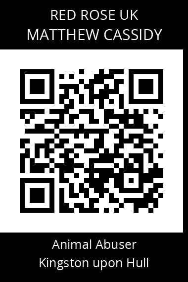 QR code for matthew-cassidy