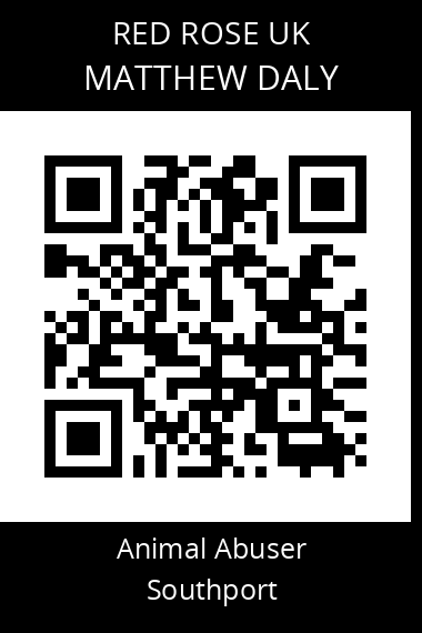 QR code for matthew-daly