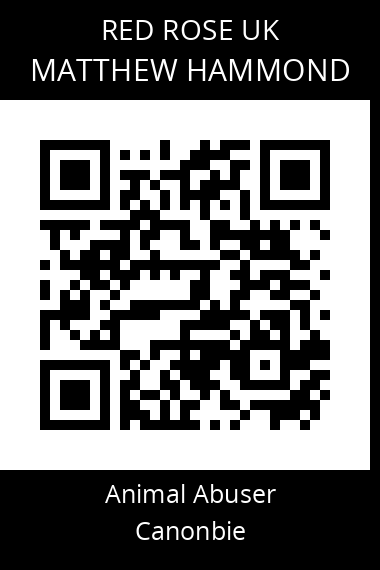 QR code for matthew-hammond