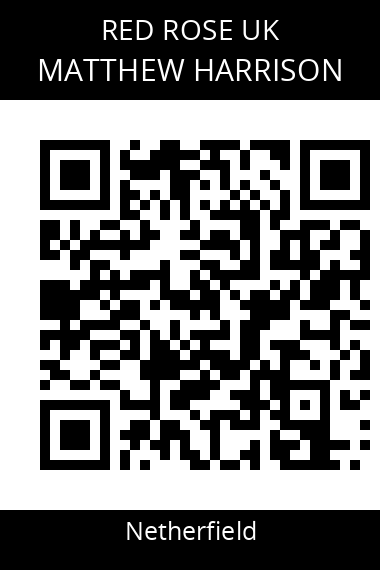 QR code for matthew-harrison-1