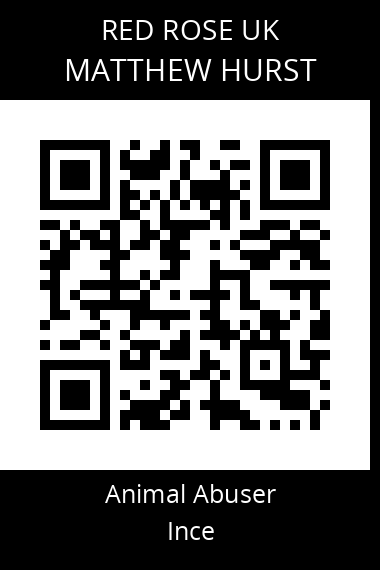 QR code for matthew-hurst