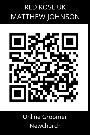 QR code for matthew-johnson-4