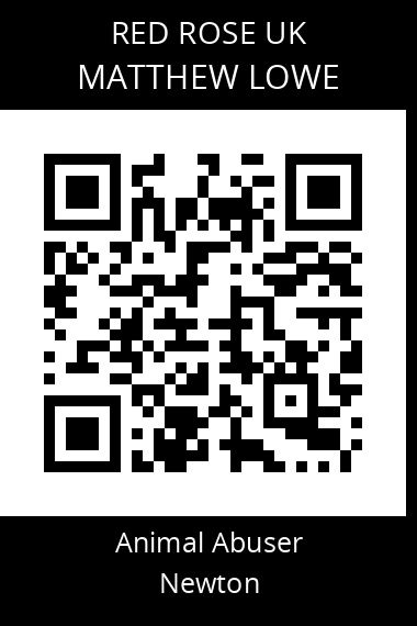QR code for matthew-lowe-1