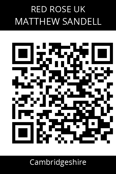 QR code for matthew-sandell-fwlgbt