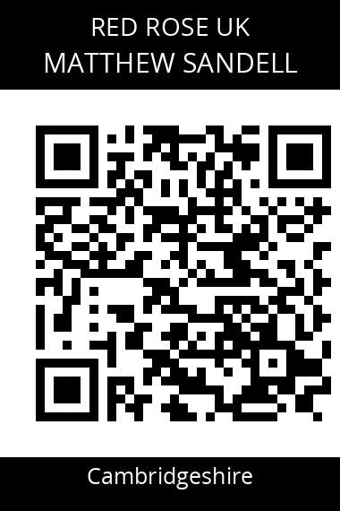 QR code for matthew-sandell-tte0ow