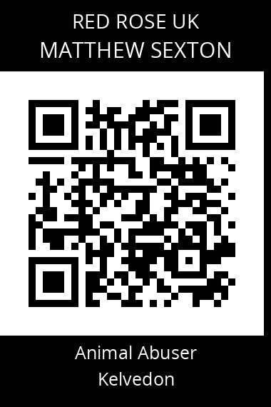 QR code for matthew-sexton