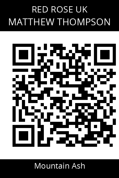 QR code for matthew-thompson-3