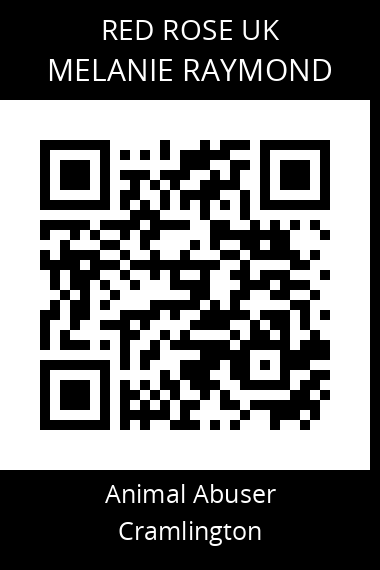 QR code for melanie-raymond