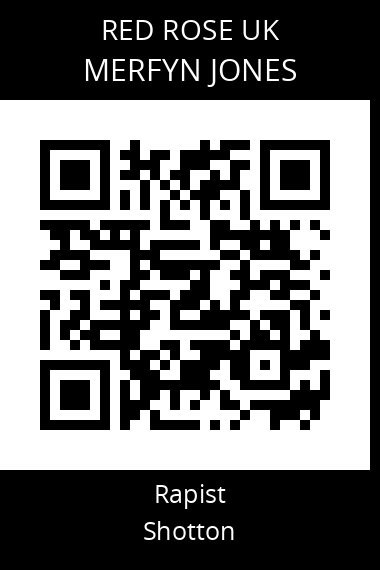QR code for merfyn-jones
