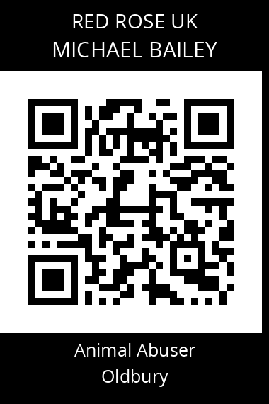 QR code for michael-bailey-2