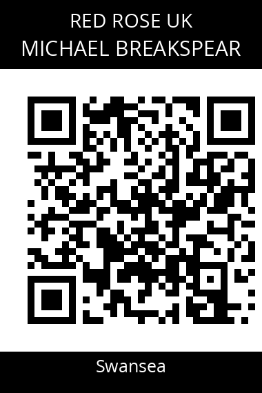 QR code for michael-breakspear