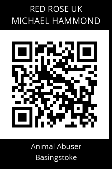 QR code for michael-hammond