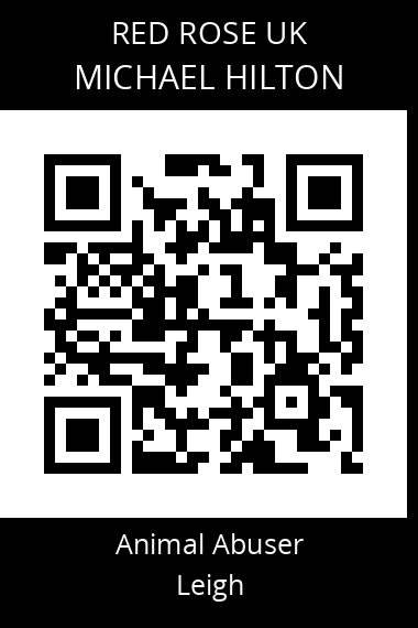 QR code for michael-hilton-3