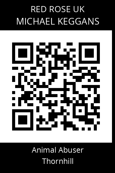 QR code for michael-keggans