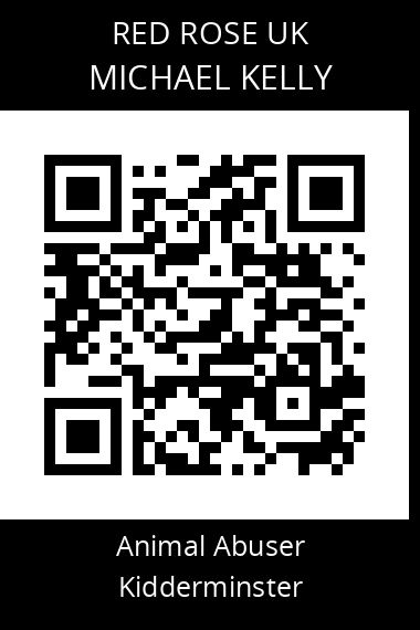 QR code for michael-kelly-5