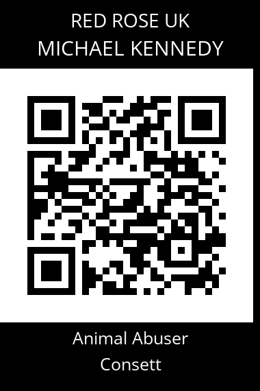 QR code for michael-kennedy-2