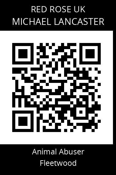 QR code for michael-lancaster