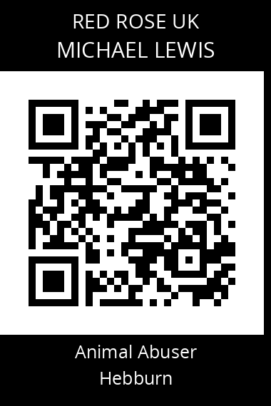 QR code for michael-lewis-3