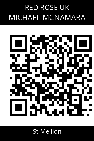 QR code for michael-mcnamara-2
