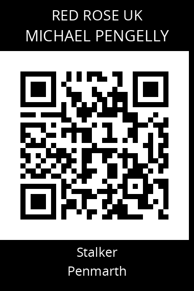 QR code for michael-pengelly