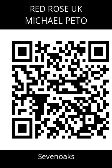 QR code for michael-peto-8xyhti