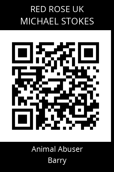 QR code for michael-stokes-1