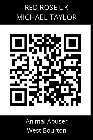 QR code for michael-taylor-12