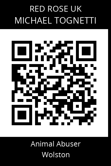 QR code for michael-tognetti