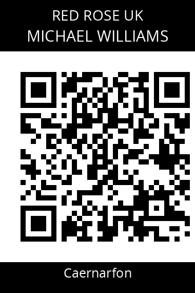 QR code for michael-williams-4