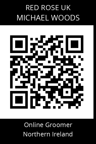 QR code for michael-woods-2