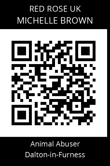 QR code for michelle-brown