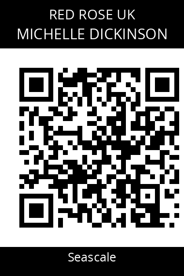 QR code for michelle-dickinson