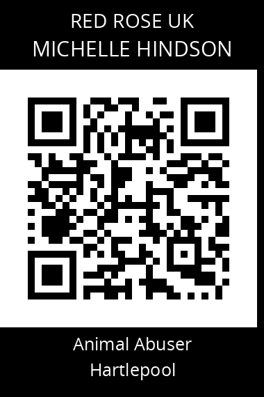 QR code for michelle-hindson