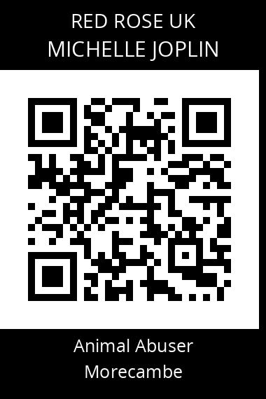 QR code for michelle-joplin