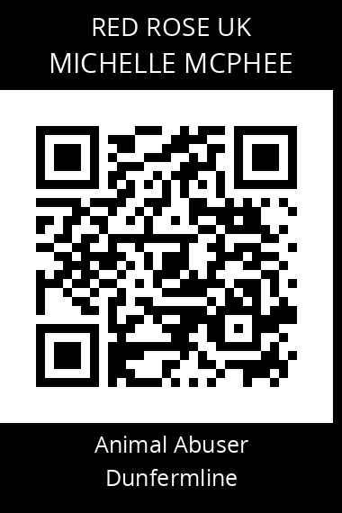 QR code for michelle-mcphee-1